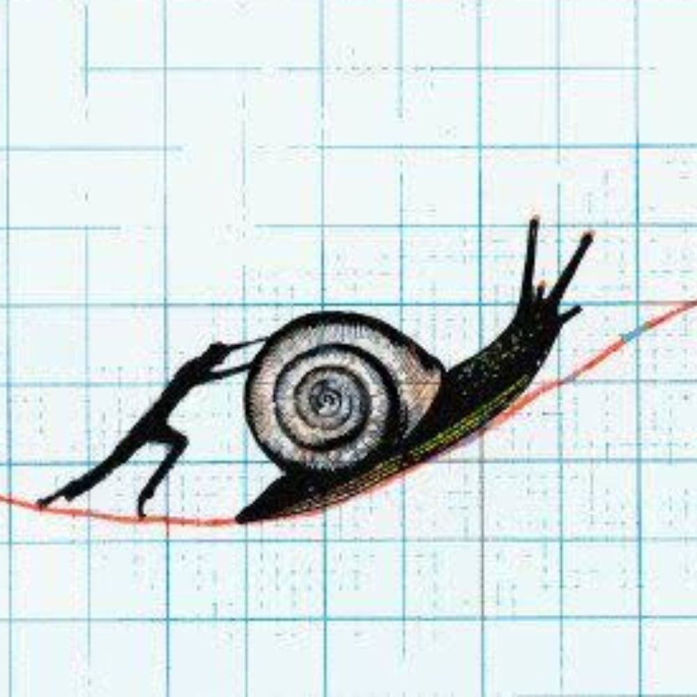 Slow growth